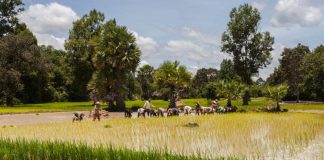 2025: The Year the UN Gave Its Back to People and Planet